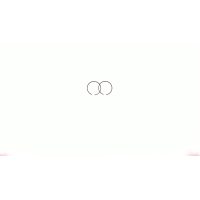 Кольца   Honda DIO 50   .STD  (Ø39,00)   SUNY   (mod.B)