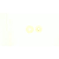 Шкив стартера (храповик) б/п   для Goodluck GL3800   (легкий пуск, 4 зацепа)   EVO