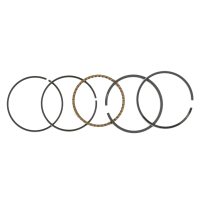 Кольца   4T GY6 50   1,00   (Ø40,00)   (TM)   EVO