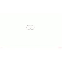 Кольца   2T Stels 50   0,75   (Ø40,75)   SUNY   (mod.B)