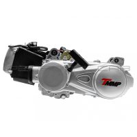 Двигатель   ATV 150   (вариатор, в сборе 1P57QMJ-D)   EVO