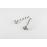 Клапаны (пара, голые) на Мотоблок   175N/180N   (7/9Л.с (Hp))    (D-32, d-27, H-97)   DIGGER