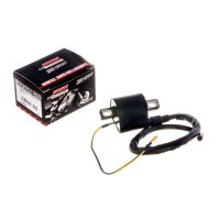 Катушка зажигания   Delta, Alpha   MANLE