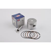 Поршень   Delta 100   0,25   (Ø50,25)   TNT