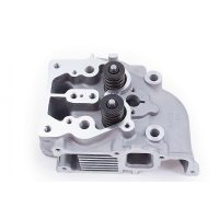 Головка цилиндра на Мотоблок   186F   (9Л.с (Hp))   (в сборе под 2 болта,  ZUBR)   DIGGER