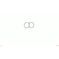 Кольца   Suzuki AD 100   1,00   (Ø53,50)   SUNY   (mod.B)