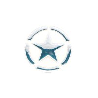 Наклейка   STAR  (10х13см)