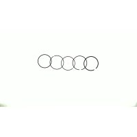 Кольца   4T GY6 150   0,75   (Ø58,25)   SUNY   (mod.B)