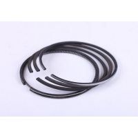 Кольца   поршневые на Мотоблок   192N STD  (Ø92.00)  (комплект на 1 поршень)   DIGGER