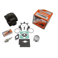 Поршневая мотокосы (ЦПГ)   1E36F   (Ø36)   (черная)   (NOKER)   KOSA