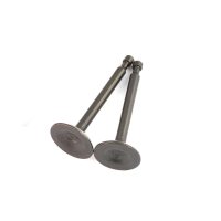 Клапаны   (пара, голые)  на Мотоблок  168F/170F  (6,5/7Л.с (Hp))   ZS