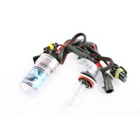 Лампы ксеноновые (пара)   H11 (12V 35W DC AMP)   5000K