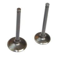 Клапаны   (пара, голые)  KAYO, IRBIS TTR 250  (L-89, D-27/31.5mm SM)   JPX