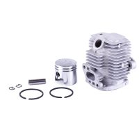 Поршневая (ЦПГ)   для бензинового опрыскивателя (33mm) AMG